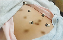 全身もしっかりみます